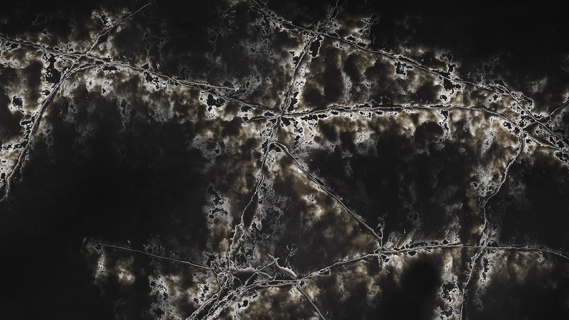 Compac - 2 Red Dot Best of the Best Award